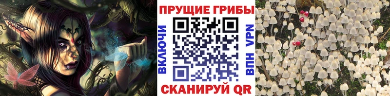 mega вход  Ува  Псилоцибиновые грибы мухоморы 